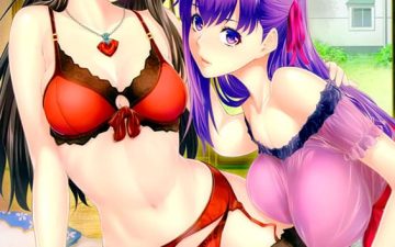 shirou kun harem fatestay night copia