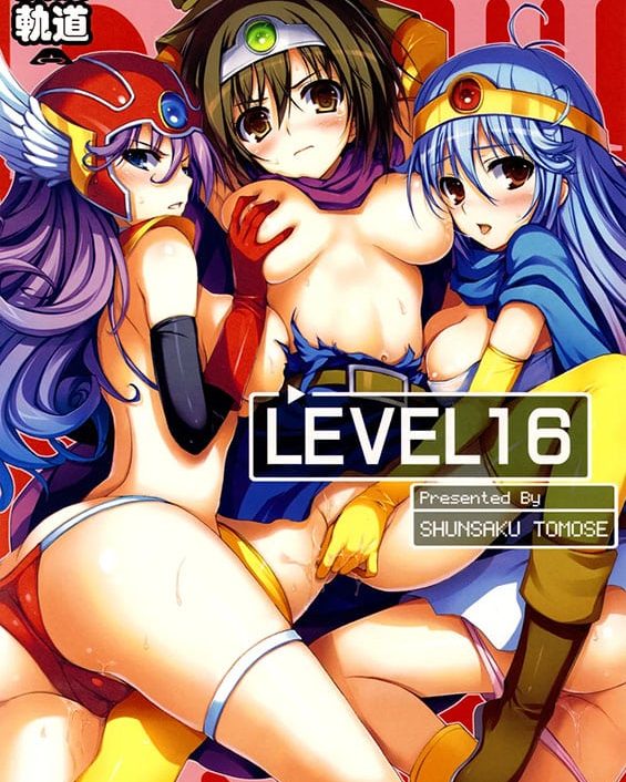 level 16 dragon quest iii copia