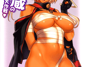 Musashi no Dokidoki Daisakusen