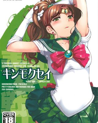 kinmokusei bishoujo senshi sailor moon copia