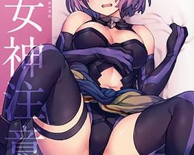Damegami Chuuihou FateGrand Order