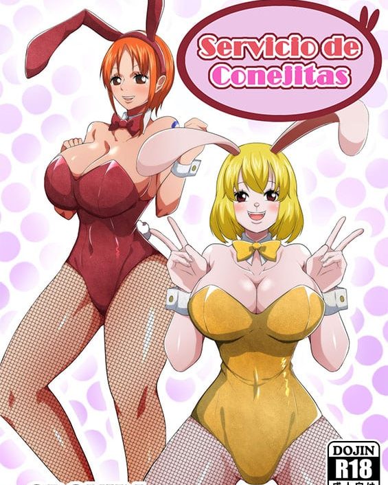 Bunny Service (One Piece)