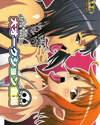 Dai Auction Kaijou (One Piece)