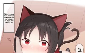 Nekomimi no Kaguya-sama (Kaguya-sama wa Kokurasetai)