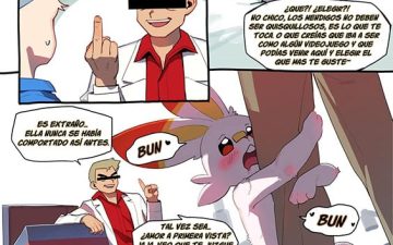 Rebel Raboot (Pokémon)