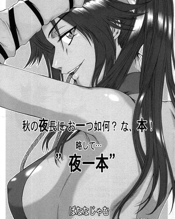 Aki no Yonaga ni Ohitotsu Ikaga Na, Hon! Ryakushite... Yoruichi Hon (Bleach)