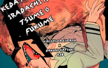 kedamono yo iradachi ni tsume o fukume boku no hero academia 1