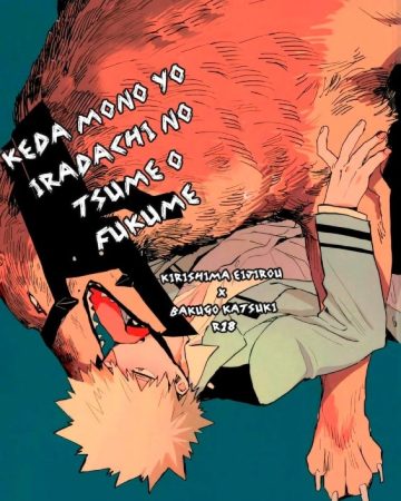 kedamono yo iradachi ni tsume o fukume boku no hero academia 1