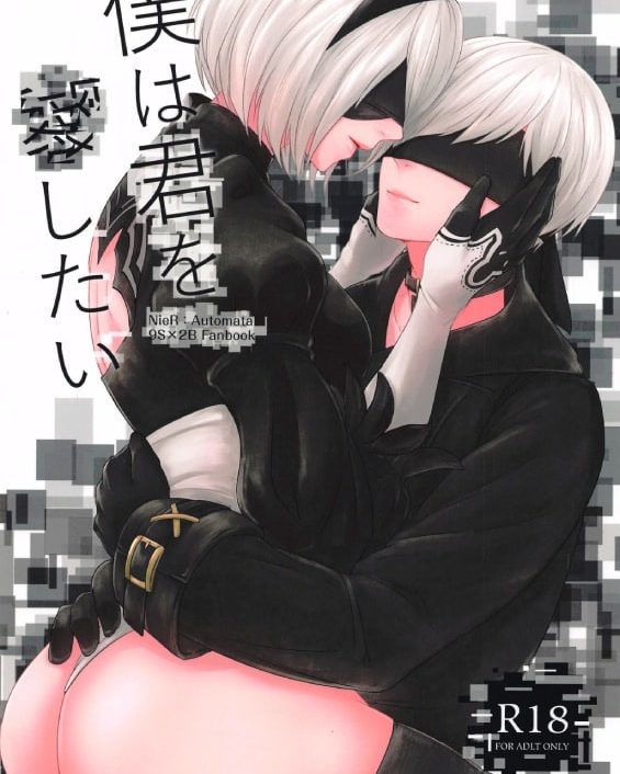 boku wa kimi o aishitai nierautomata 1