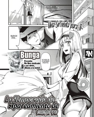hatsujou koinu akane chan comic exe 29 1