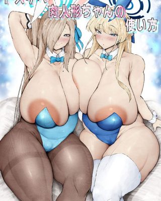 dosukebe niku ningyou no tsukaikata blue archive copia