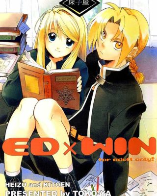 ed x win fullmetal alchemist