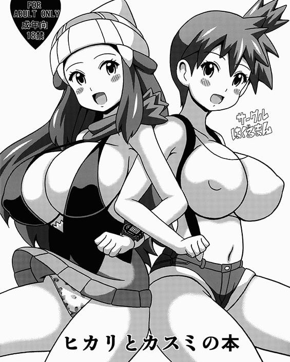 hikari to kasumi no hon pokemon copia