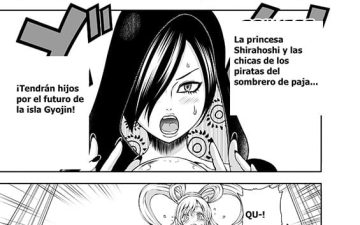 midare saki ningyo hime midare saki joshuu kaizoku soushuuhen one piece