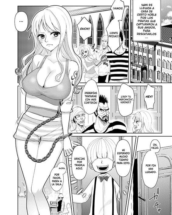 nami ga kanemochi no gaki to torihiki one piece