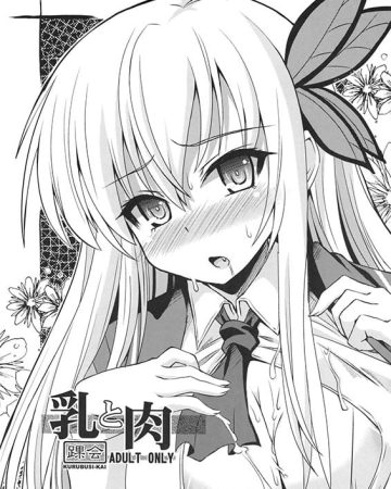 chichi to niku boku wa tomodachi ga sukunai copia