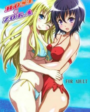 hosizora boku wa tomodachi ga sukunai copia