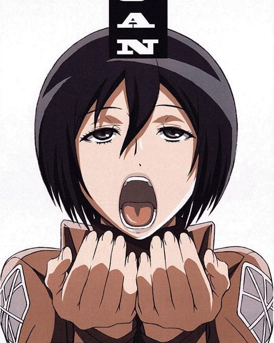 jan shingeki no kyojin copia