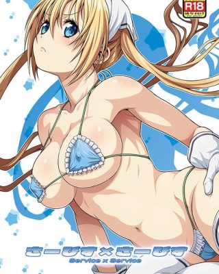 service x service blend s copia