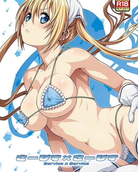 service x service blend s copia