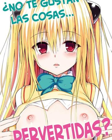 ecchii no wa kirai desu ka to love ru darkness copia