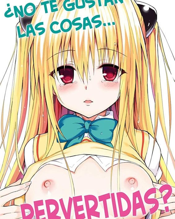 ecchii no wa kirai desu ka to love ru darkness copia