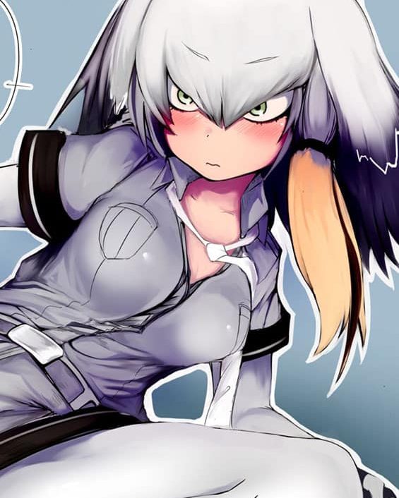 hashibirokou chan kemono friends copia