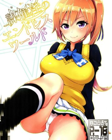 musaiin no endless world musaigen no phantom world copia