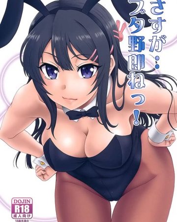 sasuga buta yarou ne seishun buta yarou wa bunny girl senpai no yume o minai copia