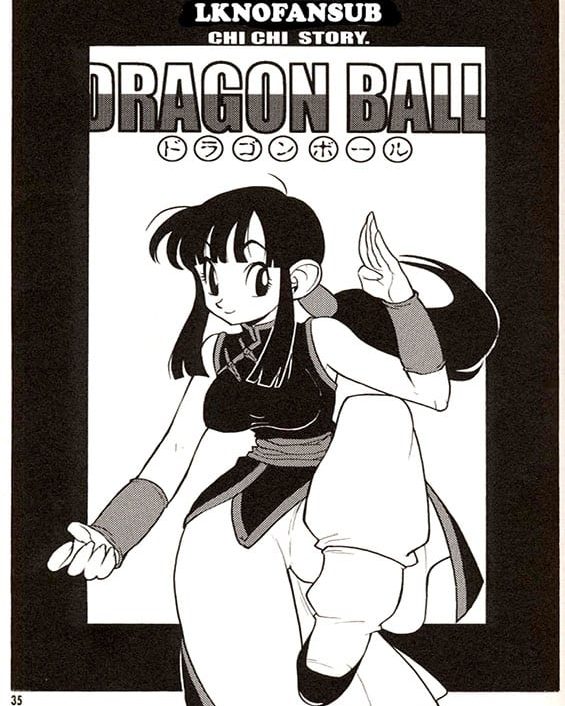 chi chi story dragon ball copia