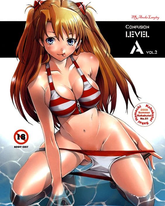 confusion level a vol 2 neon genesis evangelion copia