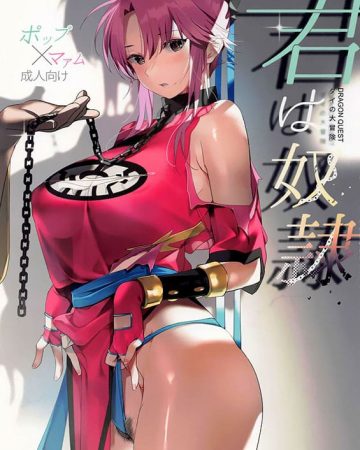 kimi wa dorei dragon quest dai no daibouken copia