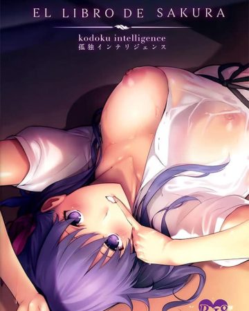 the book of sakura fatestay night copia