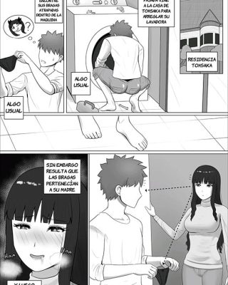 tosaka ke oyakodon fatestay night copia