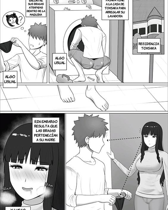 tosaka ke oyakodon fatestay night copia