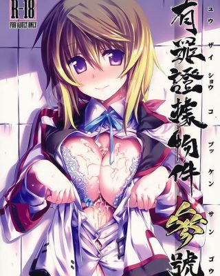 yuuzai shouko bukken sangou infinite stratos copia