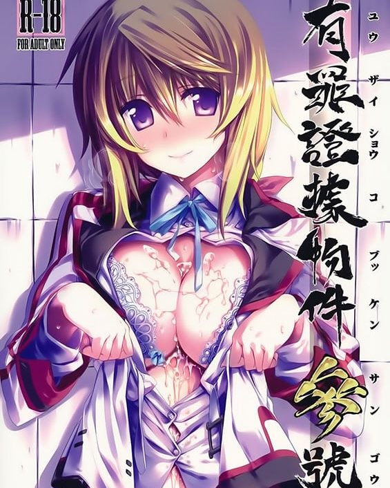 yuuzai shouko bukken sangou infinite stratos copia