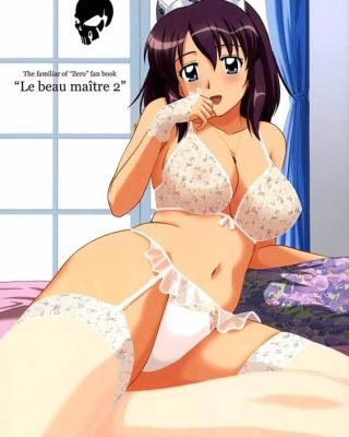 le beau maitre 2 zero no tsukaima copia