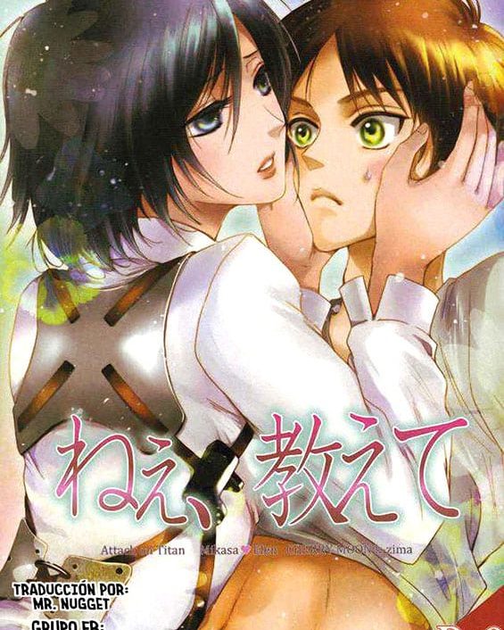 nee oshiete shingeki no kyojin copia