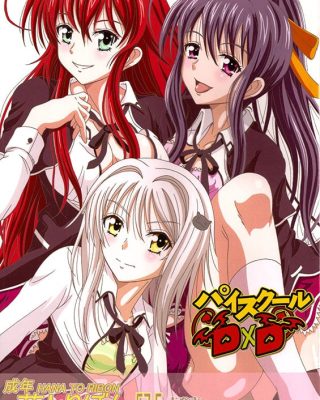 seinen hana to ribon 57 5 paisukuru dxd highschool dxd copia