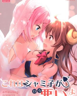 kore wa shamiko ga warui yo ne machikado mazoku copia