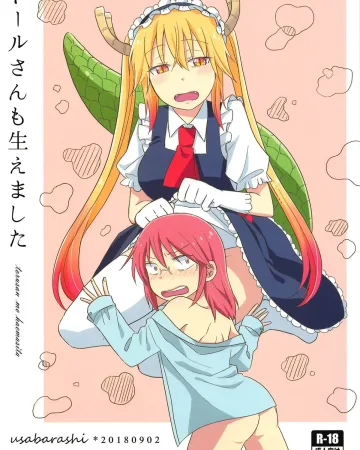 Kobayashi-san-chi no Maid Dragon xxx, Kobayashi-San xxx, Tohru xxx, Tohru-san mo Haemashita (Kobayashi-san-chi no Maid Dragon), pagina 1